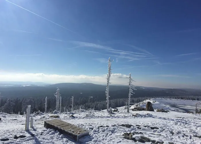 Lägenhet Ferienwohnung Graul *